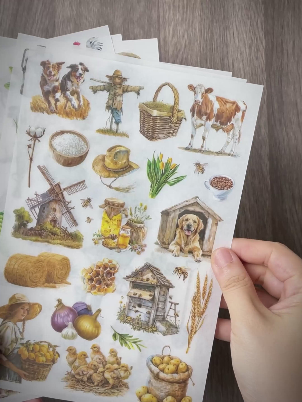 Foli Farm Life Rub-on Stickers - Taperlogy