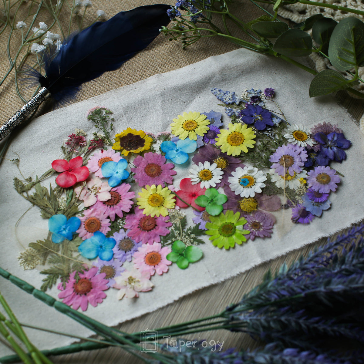 Ganvo Getrocknete Blumen – Set